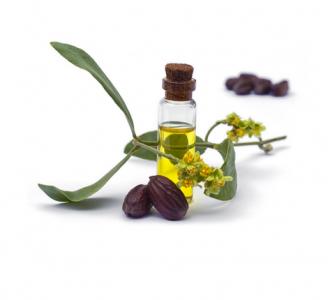 Organic Jojoba