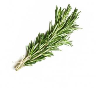 Organic Rosemary